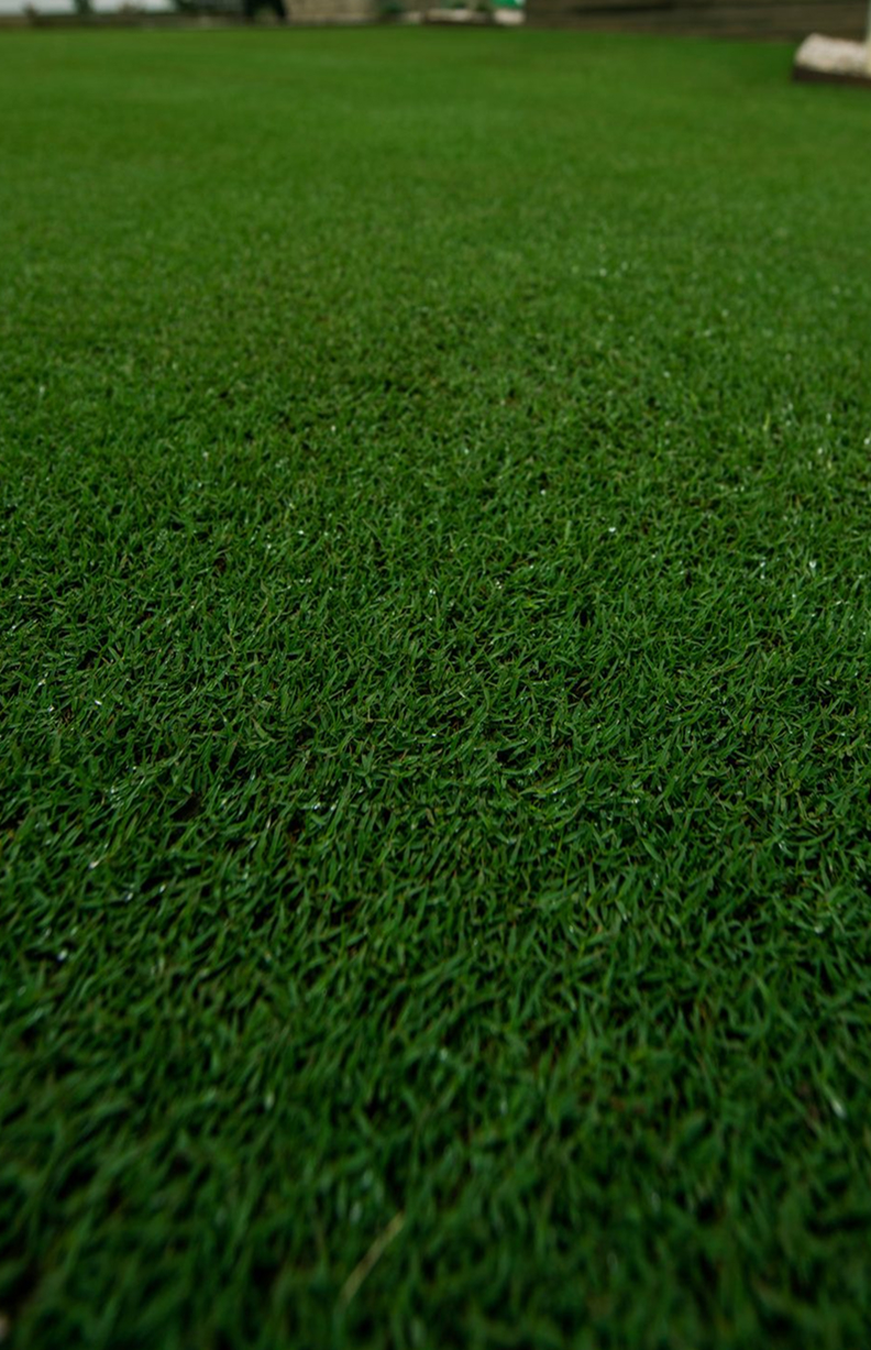 TifTuf Hybrid Bermuda